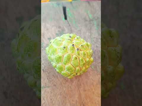 fruits varieties shorts #trending #shortvideo #viral