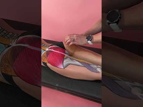 Sciatic Nerve Massage