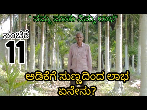 ಅಡಿಕೆಗೆ ಸುಣ್ಣದಿಂದ ಹಲವು ಲಾಭ                               ||ಸಂಚಿಕೆ - 11 ||