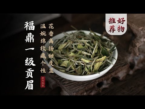 一款越喝越有劲的白茶｜福鼎一级贡眉