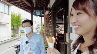 【Virtual Trip:バーチャルまちあるきin県央】まちあるき編