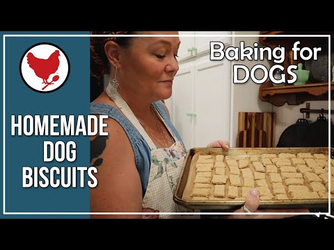 How to Make Homemade Dog Biscuits & Azure Standard Haul