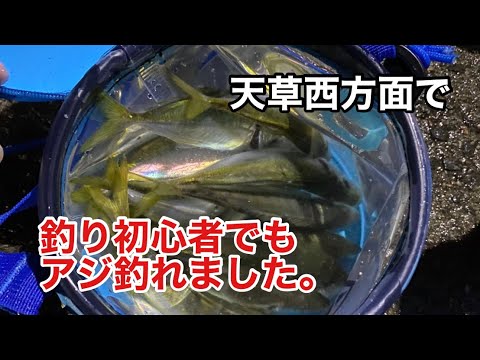 釣り初心者でもアジがいっぱい釣れました。IN天草