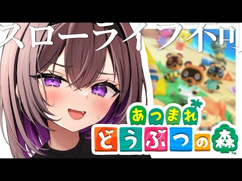 【 あつまれどうぶつの森 】たぬきちの言いなり！住民の家を建てよう！【 あつ森/5日目 】