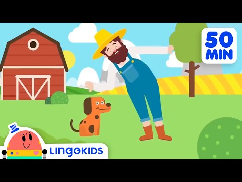 BINGO THE DOG 🐶 More Popular Songs for Kids | Lingokids