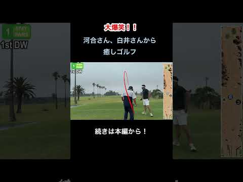 大爆笑　絶対笑わせます上級者のゴルフ#shorts #ゴルフ #golf