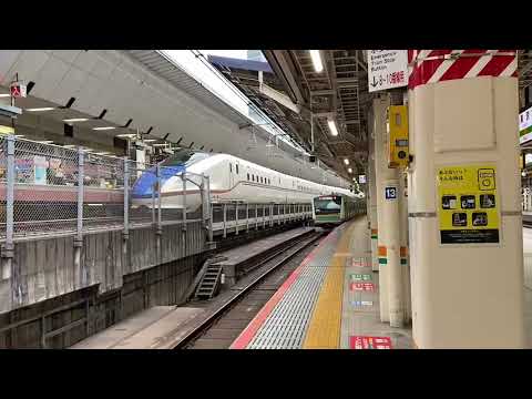 東海道線　E233系　発車シーン　IN　東京駅