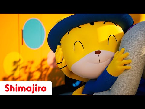 Back to School Joy 🎒🏫 | Shimajiro's Learning Adventure 🐯 | Songs for Toddlers🎶