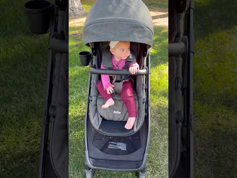 Is the Joie Ginger the best affordable stroller on the market? #babystroller #stroller #babyproducts