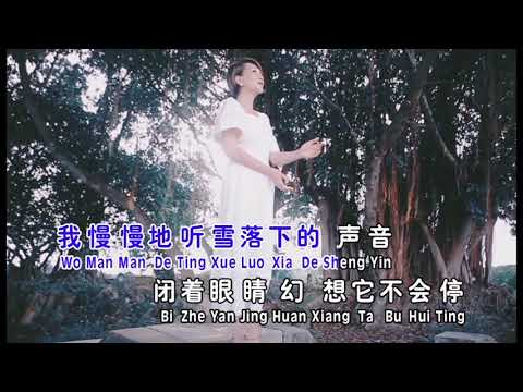 雪落下的聲音（MV）陈丽媚