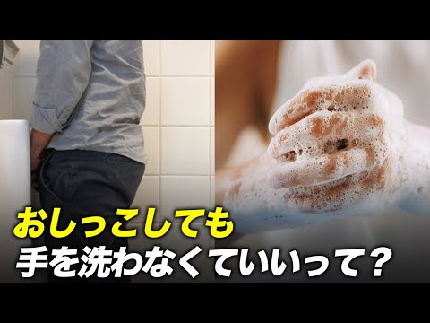 おしっこしても実は手を洗わなくても良い理由