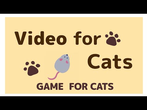 Video for Cats  20min