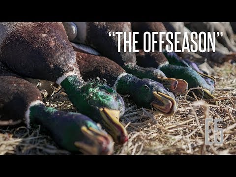 Cajun Squeal Duck Calling How To: "The Offseason" - E4