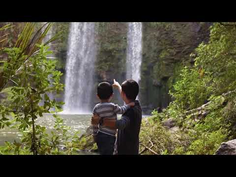 Father and Son Watch Waterfall | Copyright Free Video Footage