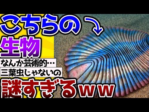 【2ch動物スレ】 アノマロカリスよりも前に生きていた「この生物」いろいろと謎が多すぎるｗ #生き物