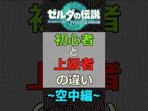 【ティアキン】初心者と上級者の違い 空中編 #ゼルダの伝説 #zelda #ゼルダの伝説ブレスオブワイルド #ゼルダの伝説ティアーズオブザキングダム