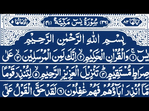 Surah Yaseen Surah Rahman | Best Quran Recitation | Ep 0023 | Relaxing Quran Tilawat |