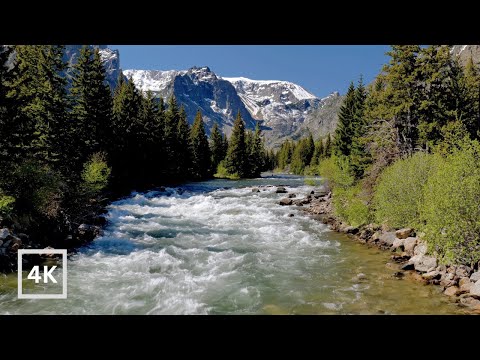 4K Mountain River Rapids in Evergreen Forest | Snow-Peaked Mountain | Relaxing Nature Ambience