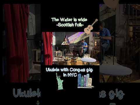 NY Live映像 "the water is wide"￼ フルサイズも見てみてね〜 #歌ってみた #megumi #ライブ映像 #coversong