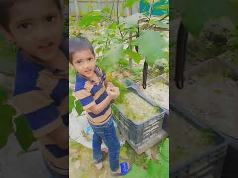 হাসবি রাব্বি জাল্লাল্লাহ #shorts #viralvideo