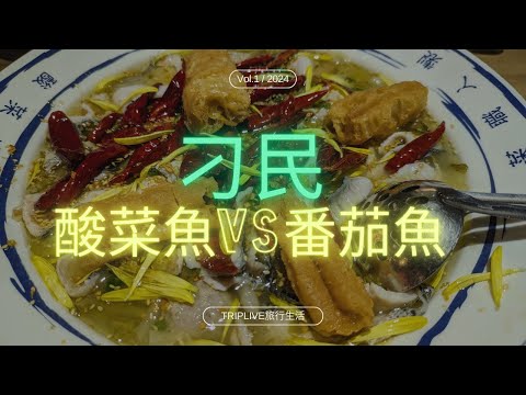 刁民酸菜魚&番茄魚初體驗。