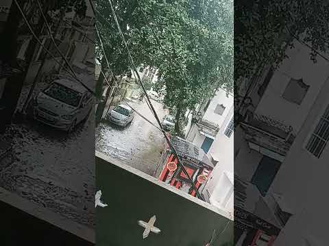 # rain 🌧️🌧️🌧️#