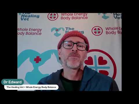 The Healing Vet's Weekly Video Newsletter