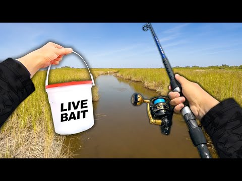 Eating Whatever I Catch.. Fishing the Saltwater Creeks (Catch and Cook)