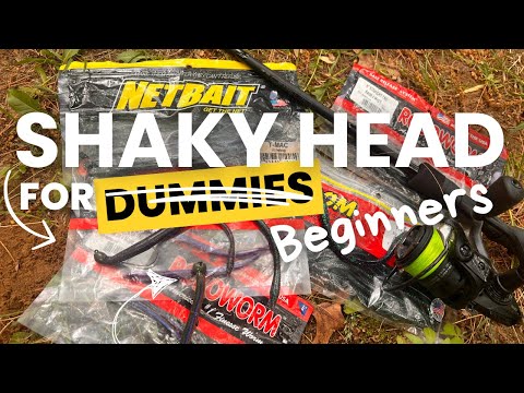 How To Catch Bass: With The Shaky Head (A Beginner's Guide)