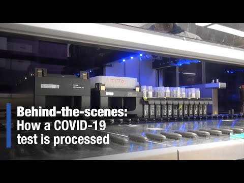 Behind-the-scenes: How a COVID-19 test is processed