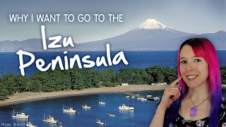 What's at the Izu Peninsula? (1 hour from Tokyo!)