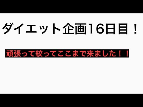 【ダイエット】ダイエット企画16日目！#16