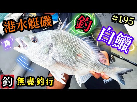 杜小銘的無盡釣行#195_#香港釣魚 #釣魚 #釣り #黑沙 #黑鱲 #浮波 #船磯 #艇磯 #磯釣 #牛屎鱲 #誘餌 #艇釣 #船釣 #爆釣 #フカセ釣り#白鱲