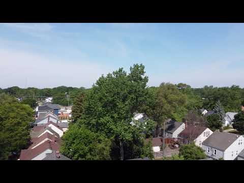 Mavic Mini - backyard test flight #2