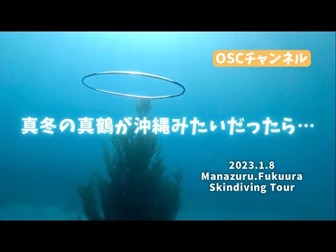 真冬の真鶴・福浦でスキンダイビング（スノーケリング）したら･･･。透明度２０ｍ以上！まるで沖縄の海のようでした！！！