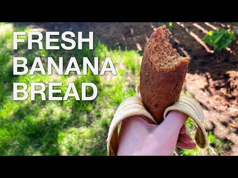 Banana Bread - You Suck at Cooking (episode 110)