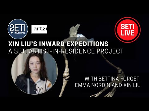 SETI AIR: Xin Liu’s Inward Expeditions