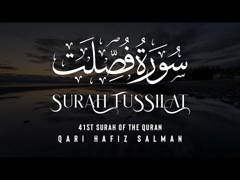 Surah Fussilat I Qari Hafiz Salman | Arabic Recitation | 41st Surah of the Quran