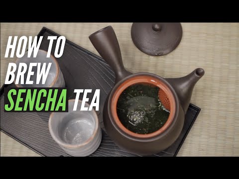 How to Brew Sencha Green Tea