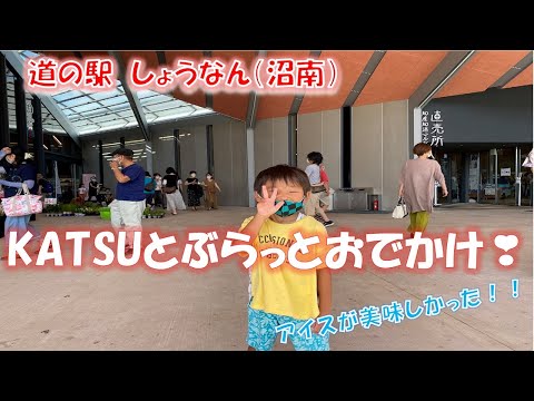 【道の駅】道の駅しょうなん（沼南）に行きました。【手賀沼】