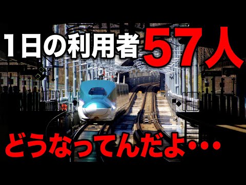 【1日57人】JR東日本で最も利用者の少ない新幹線駅がすごいww