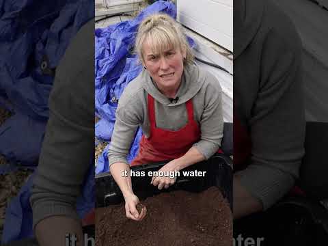 This is how we make Soil Blocks! #permaculture