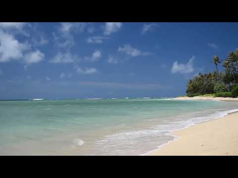 Deserted Beach | Copyright Free Video Footage