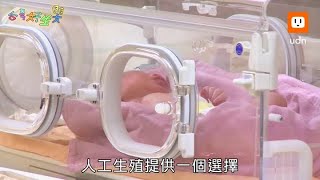 台灣好生嬰／婚育脫鉤！人工生殖法修法 代理孕母卡關近30年拚解套