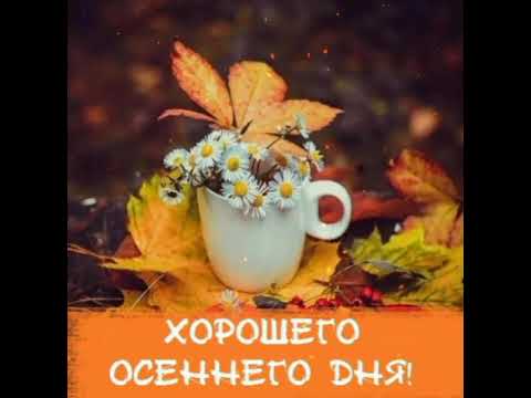 💐Хорошего осеннего дня!💐 #позитив 🍁 #открытка 🍂 #хорошеенастроение 🌾🌻🌼🍂🍁