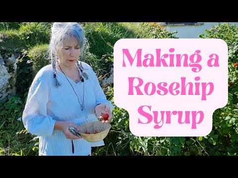 How to Make Rosehip Syrup