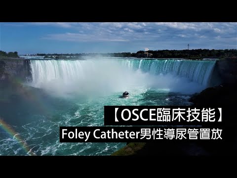 【OSCE臨床技能】Foley Catheter男性導尿管置放（片末有彩蛋）ft.曾義翔/巫姐/誤入的盧雅娣