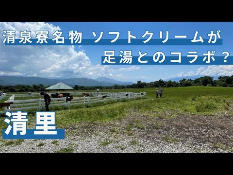 山梨 清里にある清泉寮でアイスを堪能。どこも激混みの清里のレストラン選びで困ったらこのお店ですよ！　/八右衛門出口湧水/東沢大橋/清泉寮/萌木の村/高原食堂