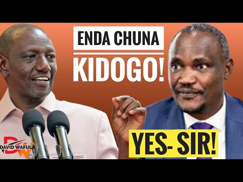 PRESIDENT RUTO NOW SENDS JOHN MBADI TO RAID PENSION FUNDS!