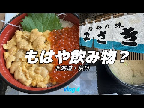 【北海道】シャコタンウキウキ！！口の中が大騒ぎ！なまら美味い丼を食べに行きました